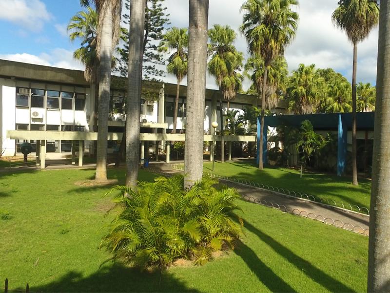 TIMOTEO VIVE O PESADELO NA SAUDE PUBLICA- AGORA  E O AUMENTO  DA DENGUE